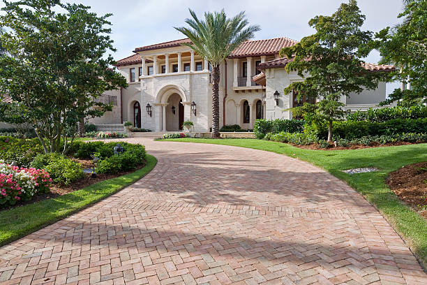 Best Driveway Paving Near Me  in Wilmerding, PA